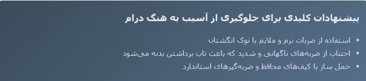 معایب هنگ درام چیست 7 Screenshot 12 10 2025 123557 ایران پرکاشن