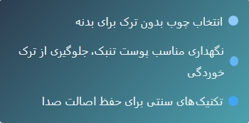 تاریخچه ساز تنبک: روایت یک ساز باستانی ایرانی 1 Screenshot 13 10 2025 11637 ایران پرکاشن