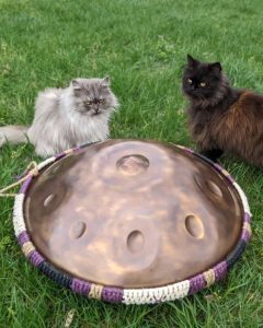 WhatsApp Image 2025 11 05 at 15.08.27 ایران پرکاشن